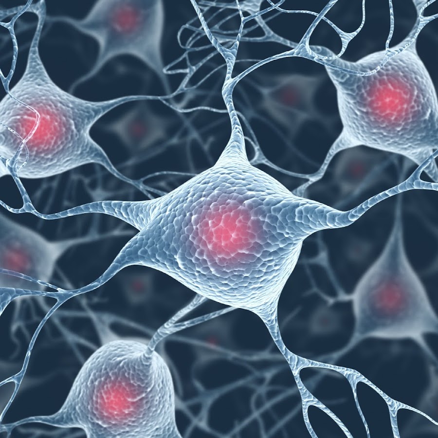 Омоложение клеток — все варианты и способы