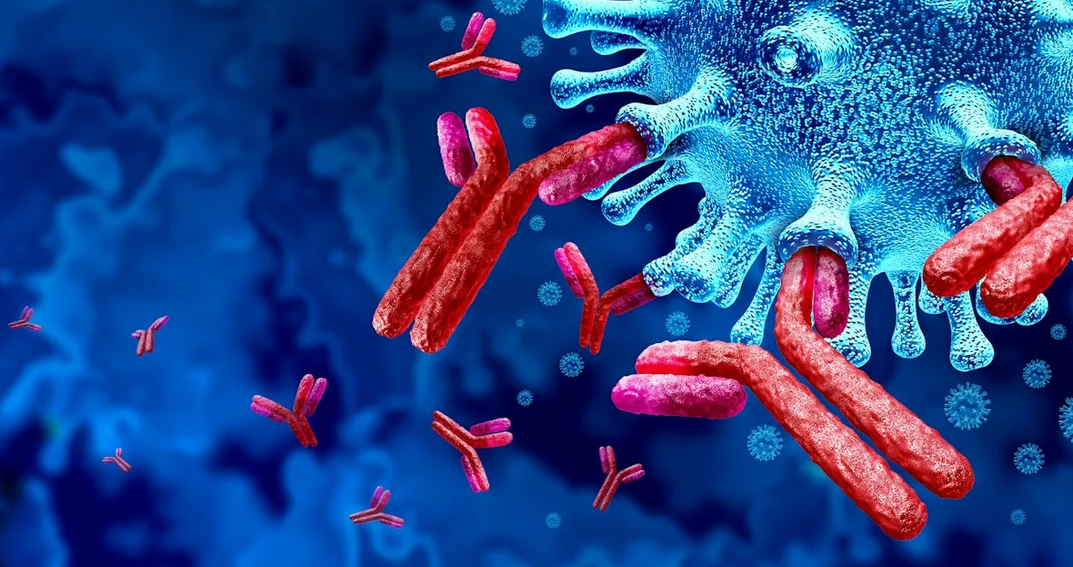 Antibodies to thyroglobulin-AT-TG