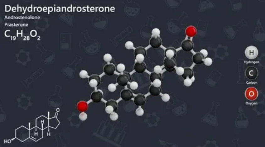 ДГА-S (en translation)