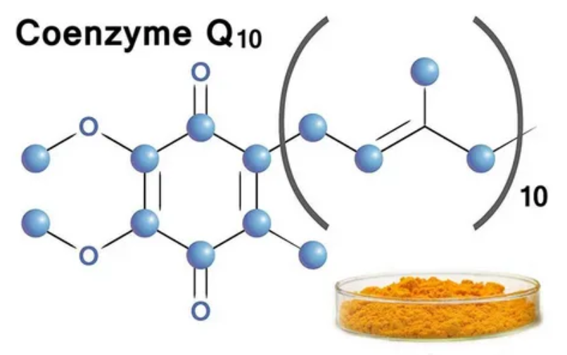 Коэнзим Q10 — функции, применение, эффекты