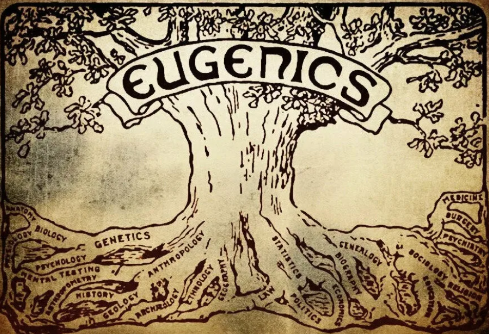 Направленная эволюция