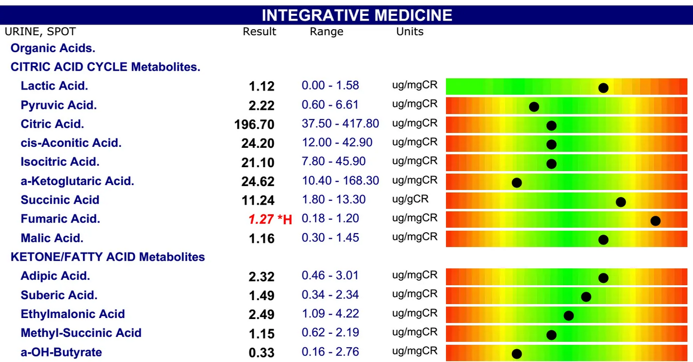 Organic acids in urine (OAT test)