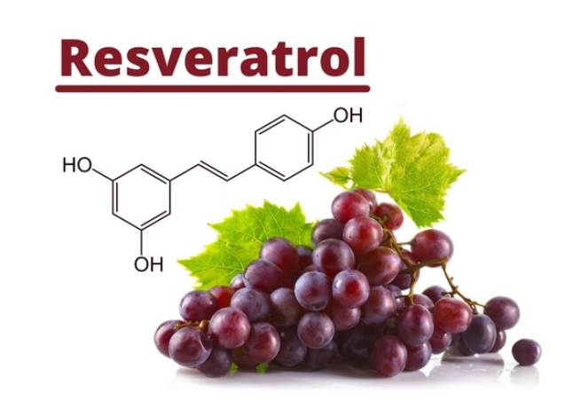 Resveratrol is an antioxidant and generally good