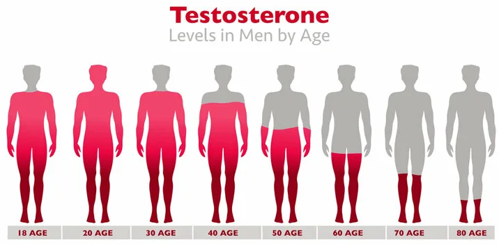 Testosterone
